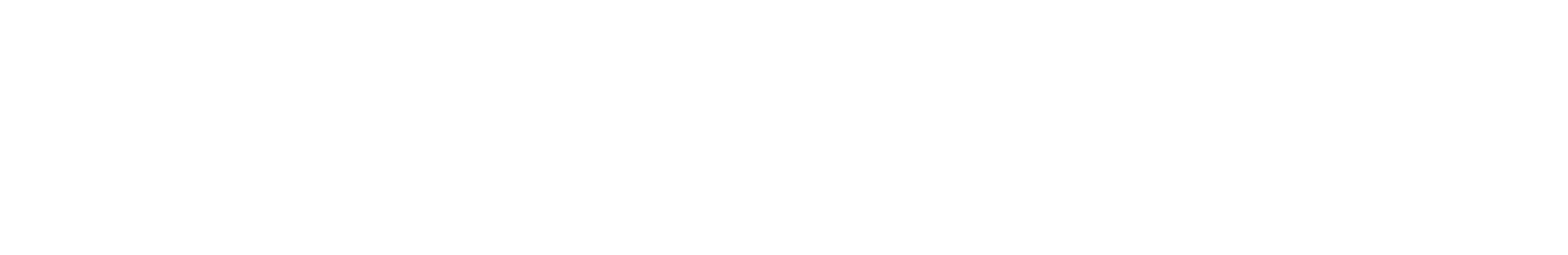 Die Zeitung