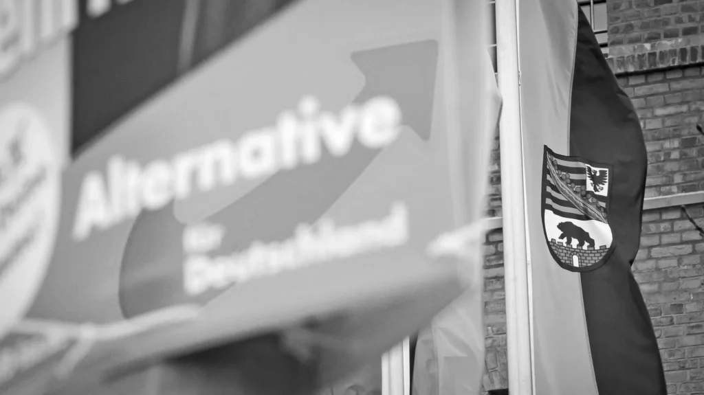 AfD Regierung Bundesländer Sorgt Für Debatte